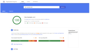 PageSpeed Insights voorbeeld